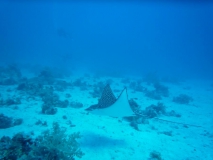 Ägypten September 2010