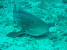 l1020390