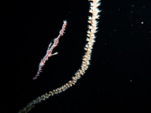 l1020854