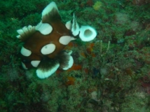 l1030328