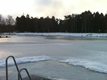 Neujahrstauchen 2011 beim HFK