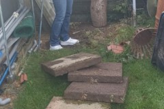 TCV_Container_202410_01