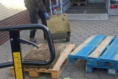 TCV_Container_202410_03