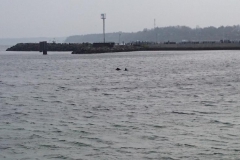 adventstauchen-2014-strande-8