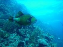 Ägypten September 2010