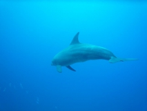 Ägypten September 2010