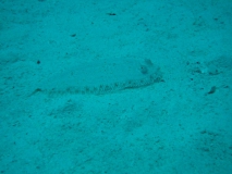 Ägypten September 2010