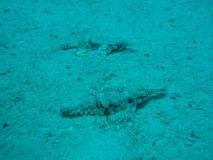 Ägypten September 2010