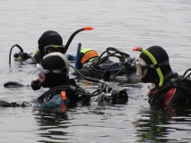 Clubtauchen Hemmoor Sept.2010