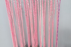 TCV_Flossenmeisterschaft_202603_004