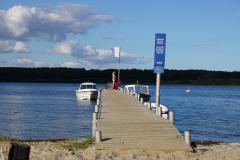 TCV_Gammel_2025_004_Michele