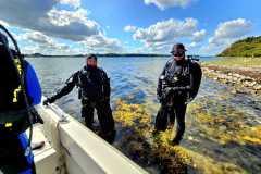 TCV_Gammel_2025_027_Michele