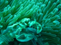 l1010755