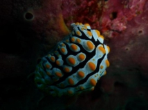 l1010764