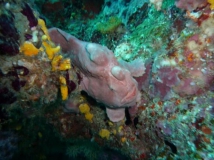 l1010808