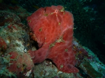 l1010823