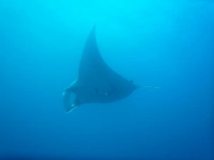 l1020307