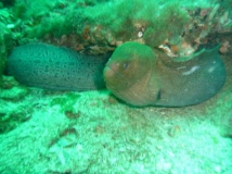 l1020479
