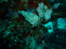 l1020545
