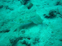 l1020557