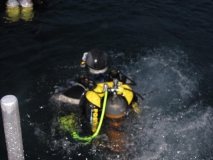 Dämmerungstauchgang von der Badeplattform