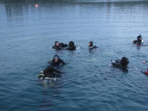 Dämmerungstauchgang von der Badeplattform