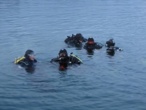 Dämmerungstauchgang von der Badeplattform