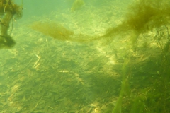 P1110531