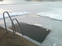 Neujahrstauchen 2011 beim HFK