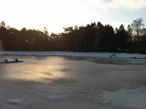 Neujahrstauchen 2011 beim HFK