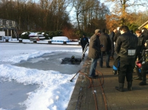 Neujahrstauchen 2011 beim HFK