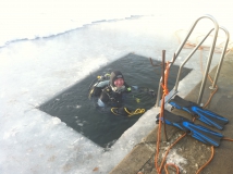 Neujahrstauchen 2011 beim HFK