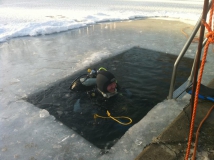 Neujahrstauchen 2011 beim HFK