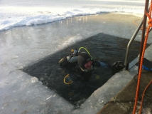 Neujahrstauchen 2011 beim HFK