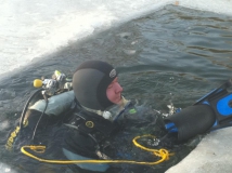 Neujahrstauchen 2011 beim HFK