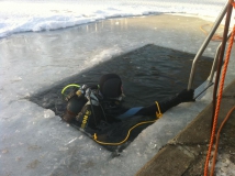 Neujahrstauchen 2011 beim HFK