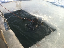 Neujahrstauchen 2011 beim HFK