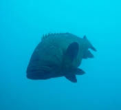 Costa Brava Juni 2011