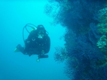 Costa Brava Juni 2011