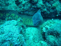 Costa Brava Juni 2011