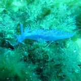 Costa Brava Juni 2011