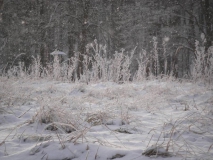 SAMSUNG DIGITAL CAMERA