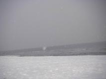 SAMSUNG DIGITAL CAMERA