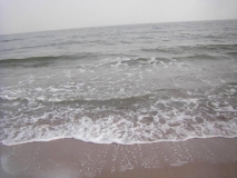 SAMSUNG DIGITAL CAMERA