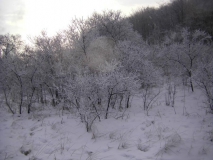 SAMSUNG DIGITAL CAMERA