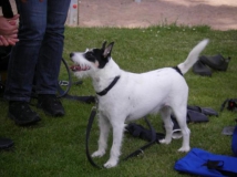 Clubtauchen Schwerin 2010