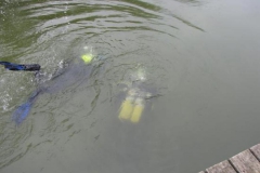 Clubtauchen Schwerin 2010