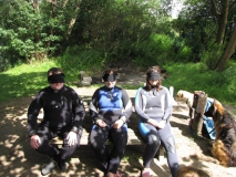 tcv-sommerfest-2011-25