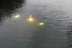 25e29790-a32a-45b1-bf4b-241809a2e8e7