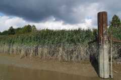 7687a7fe-5a16-4bbe-ac2e-85ffc98d85b0